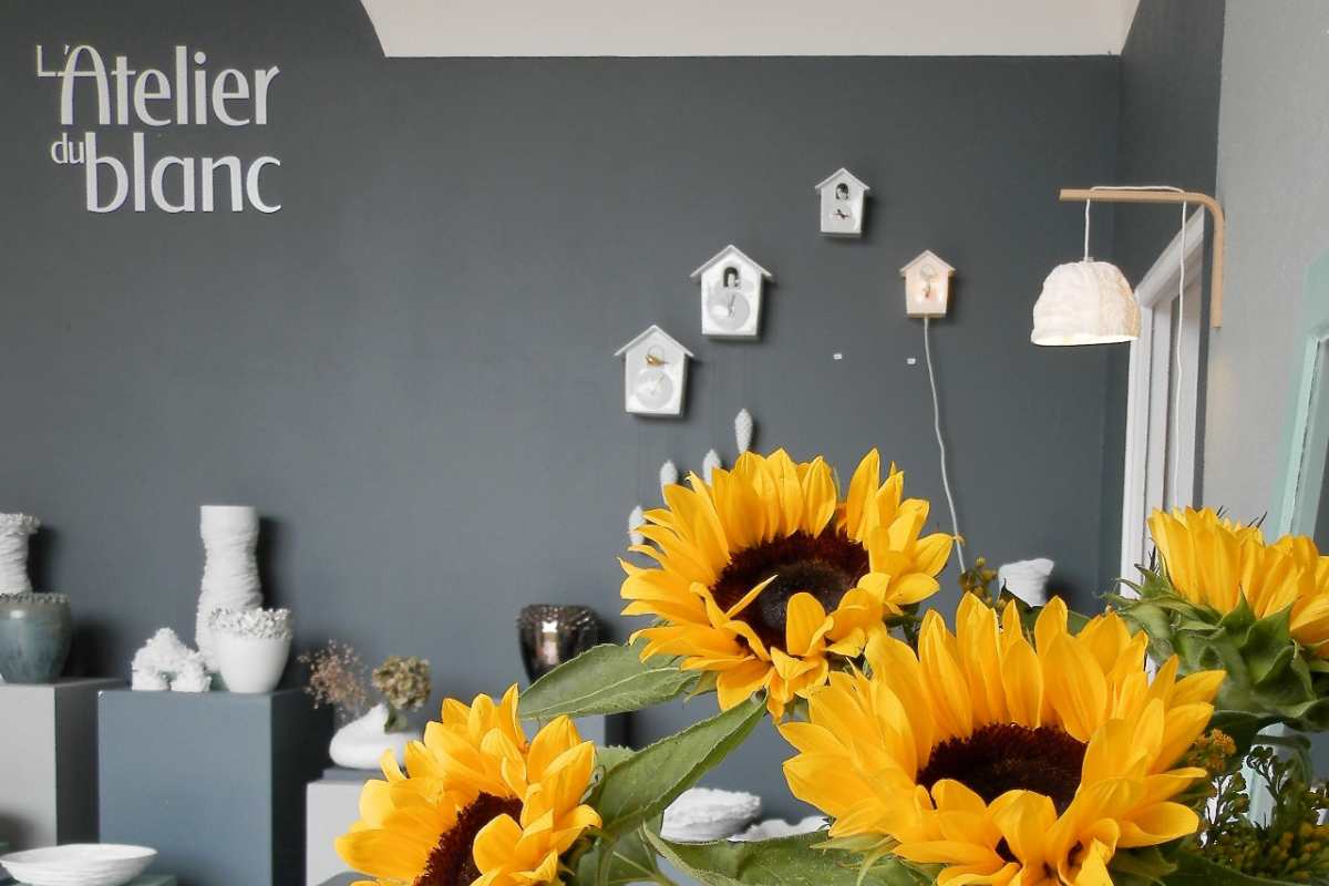 showroom-ouvert-87-saint-pardoux-porcelaine-limoges-l-atelier-du-blanc