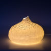 luminaire-lampe-chevet-porcelaine-de-limoges-biscuit-ecaille-l-atelier-du-blanc