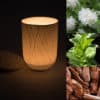 bougies-parfumees-longue-duree-refermable-parfum-d-interieur-seringat-tabac-cedre-cire-de-soja-photophore-porcelaine-de-limoges-l-atelier-du-blanc
