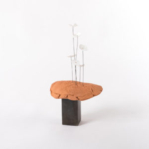 sculpteur-ceramique-art-contemporain-paysage-erosion-fleurs-porcelaine-blanche-socle-latelier-du-blanc